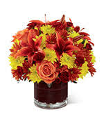 Maybe you would like to learn more about one of these? Flowers To Anne Arundel Medical Center Annapolis Maryland Md Same Day Delivery By A Local Florist In Annapolis
