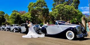 Our 200+ experts carefully select and verify more than 65,000 objects each week. Jaguar Wedding Cars Sydney Vintage Wedding Cars Sydney