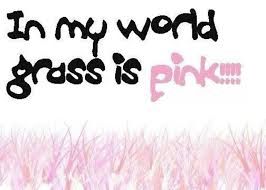 Bailey Bicknell (bicknellbailey)