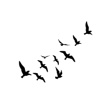 Free Like A Bird Bird Silhouette Tattoos Flying Bird Drawing Fly Drawing