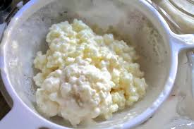 how to remove milk kefir grains from