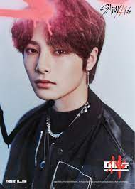 Desert fox, our maknae, spoon worm yang. I N Stray Kids Profile And Facts Updated