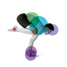 Muktasana, liberation pose, is either exactly the same as siddhasana, as stated in the 15th century hatha yoga pradipika, or a variant with the feet close in to the perineum but resting on the ground, that is, left foot touches the perineum, and the right foot is close to the left foot, but resting on the ground. Bakasana Crane Pose Yoga Kumar