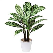 In the end, they'll be worth the investment. i pick and choose which plants will be fake based on their difficulty and placement, she says. 27 Large Fake Plants Artificial Fiddle Leaf Fig Tree Faux Tall Plant In Pot Big Green Floor Plant Faux Ficus Lyrata For Home Office Decoration Pricepulse