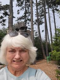 Charming Cape Cod in Orchard Park $185,000