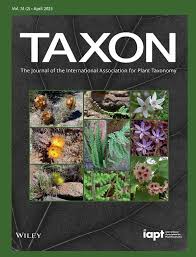 Image result for Cheilanthes angustifrondosa