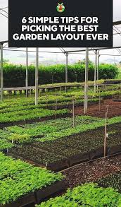Raised Beds In Ground Plots Or Containers Which Garden Layout To Choose Garden Layout Garden Layout Vegetable Amazing Gardens