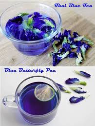 Pin By David Payne On Food As Medicine In 2020 Butterfly Pea Flower Butterfly Pea Pea Flower