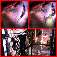 エルム街の悪夢』PART1② | 映画・ラーメン・酒・温泉大好きです❣️