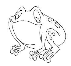 Desenho De Sapo Para Colorir Colorir Com
