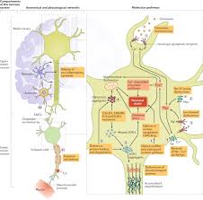 Genetic basis and molecular pathophysiology of classical myeloproliferative neoplasms. Improving Clinical Trial Outcomes In Amyotrophic Lateral Sclerosis Nature Reviews Neurology