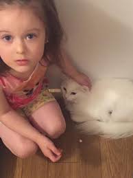 We had 4 appointments today. McKenzie had Xray, CT scans, orthopedic and  hematology.Everything looks good. They will be calling me to schedule her  surgery to have the port removed. We will schedule