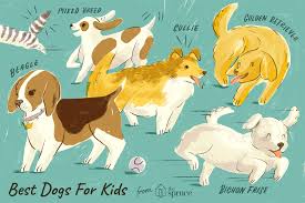Some dogs feel happy and so, if you love spending time outdoors and stay active, and want a loyal, loving, and affectionate dog, the labrador retriever is the perfect family dog for you. The Best Dog Breeds For Kids And Families