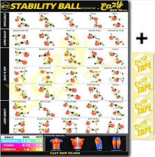 Eazy How To Stability Ball Exercise Workout Banner Poster Big 51 X 73cm Train Endurance Tone Build Strength Muscle Home Gym Chart