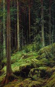 And maybe that's too dark. Ivan Shishkin Thickets 1881 Nature Landscape Art Landscape