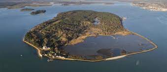 People have been enjoying the experience of a cruise aboard poole's famous yellow boats for over 100 years. Brownsea Island National Trust