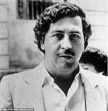 The mendellin cartel, the columbian drug gang responsible for the most widespread distribution of narcotics in the americas. El Chapo S Son Spent Months Living In Medellin Protected By Pablo Escobar S Former Hitmen Daily Mail Online