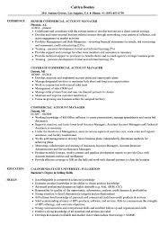 The account manager's role is to oversee a portfolio of assigned. Commercial Account Manager Resume Samples Velvet Jobs