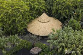 They could make the roof. Afrikanisches Kap Reed Onethatch Synthetisches Strohdachmaterial