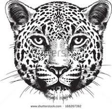 Black And White Vector Sketch Of A Leopard S Face Leopard Face Leopard Tattoos Jaguar Tattoo