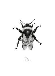 Variety of easy install fabrics and finishes to choose from. Bumblebee Drawing By Igor Pose Saatchi Art
