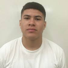 Mario Solorio's Chavez High School Career Home