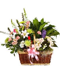 Encuentra fotos de stock perfectas e imágenes editoriales de noticias sobre flowers basket en getty images. Peace Lily And Flower Basket Main Florist