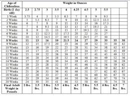 Recommended Weight Chart For Adults Standard Poodle Growth