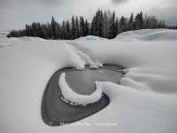 These oneplus 9 pro camera samples look… excellent. K4ytic M V2ndm