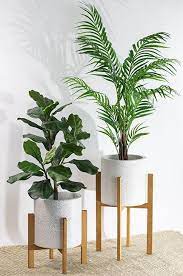 Pin By Pioneer Imports Wholesale On Fiddle Leaf Fig Trees Plant Decor Indoor House Plants Decor Plant Decor