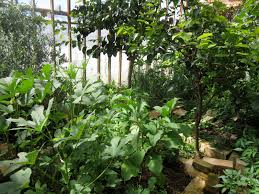 Maybe you would like to learn more about one of these? Greenhouse Suck Factor Greenhouses Forum At Permies