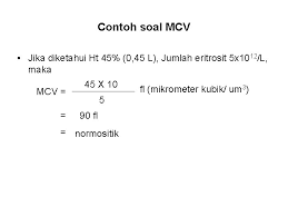 Check spelling or type a new query. Pemeriksaan Hematologi Darah Perifer Lengkapdpl Dr Fatma C