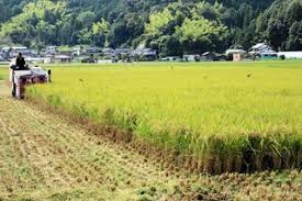神戸新聞 - News update