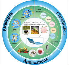 Hydrogel‐based surface‐enhanced Raman spectroscopy for food contaminant  detection: A review on classification, strategies, and applications - Li -  2023 - Food Safety and Health - Wiley Online Library