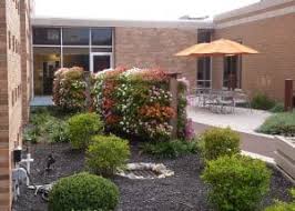 You can also use a fence or other vertical structure for a. Outdoor Projects Livewall Vertical Plant Wall System