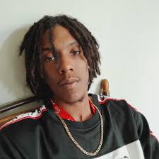 Falinks attacked and shiny froakie escaped