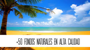 Microsoft regala 8 packs de fondos de pantalla 4k gratis en. Pack 50 Backgrounds Paradisiacos En Hd Creativos Online