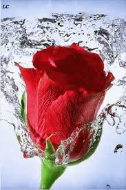 Https Encrypted Tbn0 Gstatic Com Images Q Tbn 3aand9gcrnms7p2bw0iwsihpsd03y5zohtqbjpm1q0qa Usqp Cau