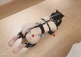 丫酱酱酱抖音风弹力插- 体验小母狗萝莉的青春与激情！