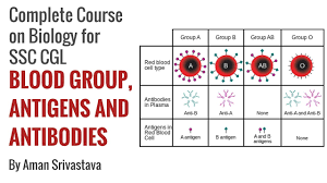 Blood Group Antigens And Antibodies Complete Course On Biology For Ssc Cgl By Aman Srivastava