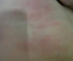 Maybe you would like to learn more about one of these? Flamindevil If I Can I Will Because I M Good At It