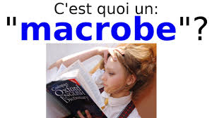 Sachant qu'il existe plus de 100 000 mots dans la langue française, le dictionnaire des synonymes est un outil essentiel ! C Est Quoi Un Macrobe Definition Etymologie Explication Du Mot Et Synonyme Youtube