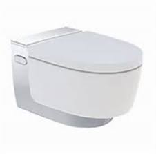 Lorsqu'on entreprend des travaux de rénovation ou d'aménagement, le choix des prestataires revêt une importance cruciale. Wc Complet Geberit Aquaclean Maira Comfort Wc Suspendu Chrome Brillant