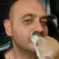 Wall Street Christmas Tree: A Hidden Gem in NYC