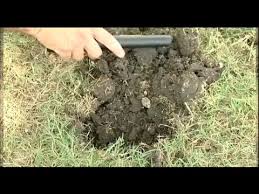 Serious metal detecting also offers videos, books, and dvds for the best experience in prospecting. Garrett Pro Pointer Pinpoint Probe Metal Detector Youtube