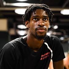 Sankofa: The Journey Back to Your Roots (The Pillars of SAUNARTIS Book 1)