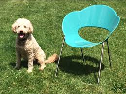 The Battery Collection Pet Friendly Chair Pets