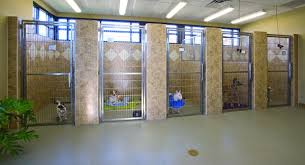 Canine Rolled Rubber Flooring For Dog Kennels And Dog Daycare Facilities Flooring Dog Boarding Kennels Commercial Dog Kennel Ideas Dog Kennel Designs