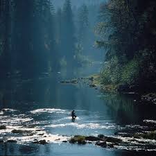 The North Umpqua Foundation Fishing Places Fishing Photography Gone Fishing