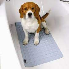 Pin By Pet Tribe On Dog Grooming Tips Dog Grooming Dog Grooming Tips Dog Grooming Business